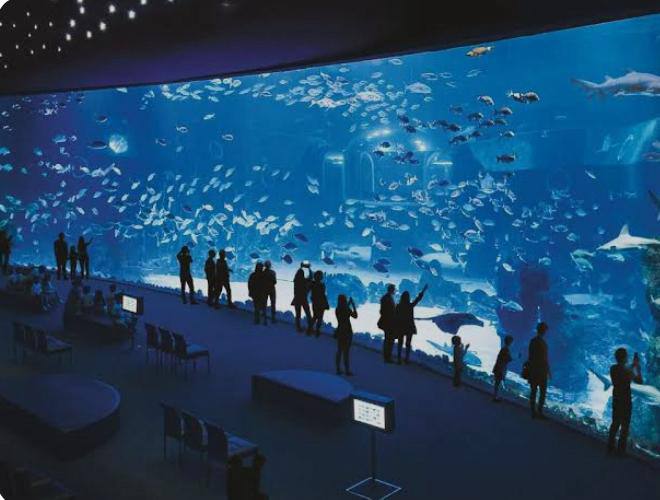 Poema del Mar Gran Canaria