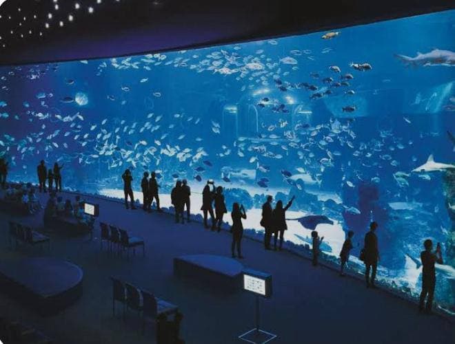 Poema del Mar Gran Canaria