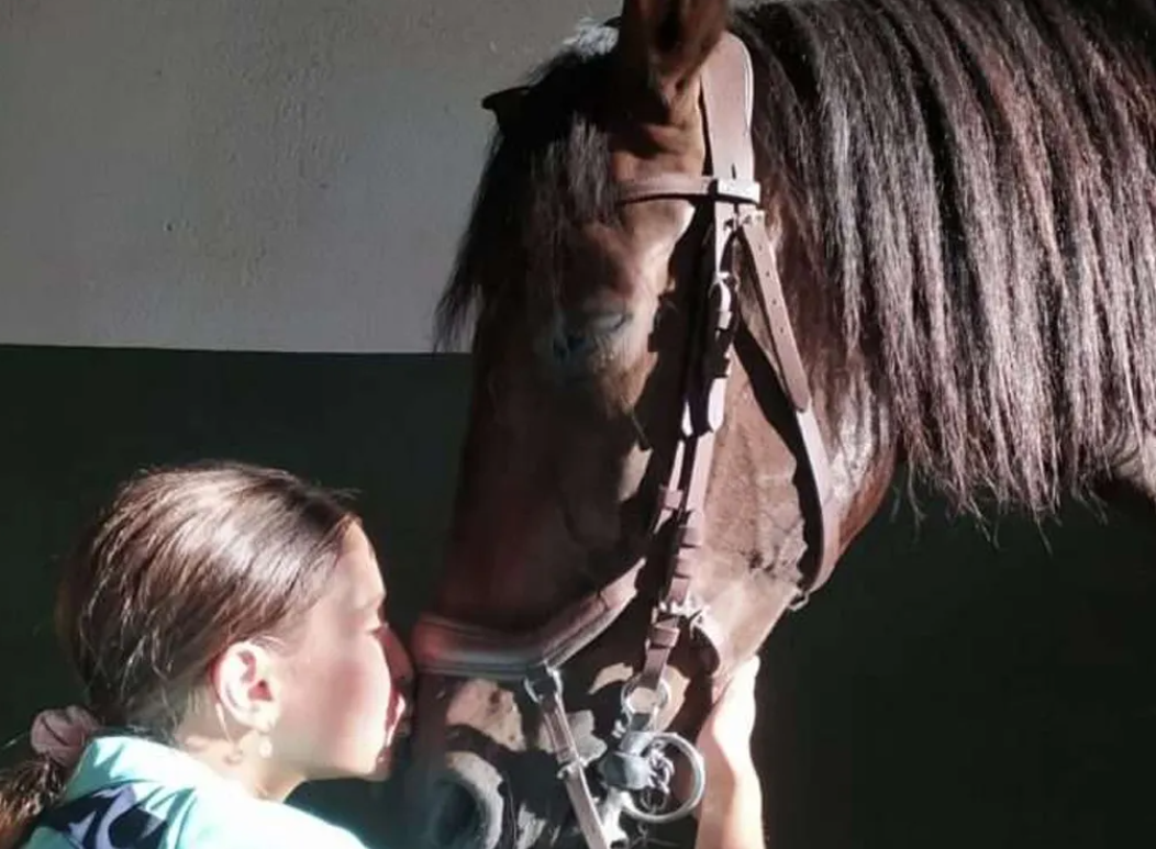 Centro Hípico Xanadú 2