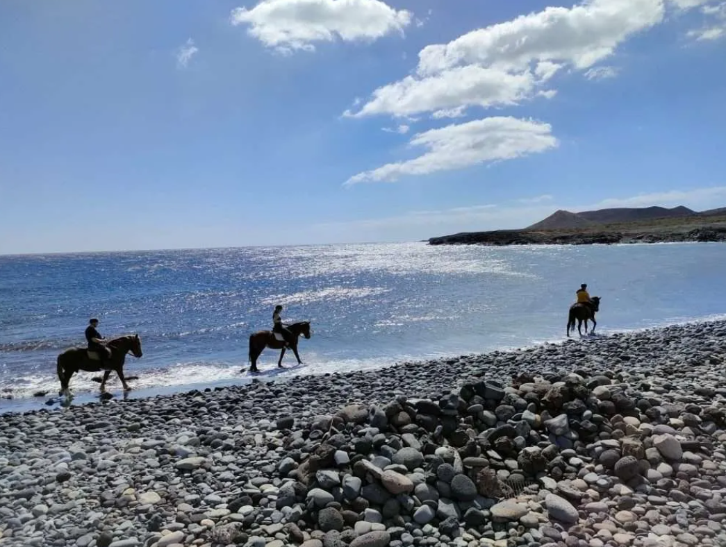 Centro Hípico Xanadú 4