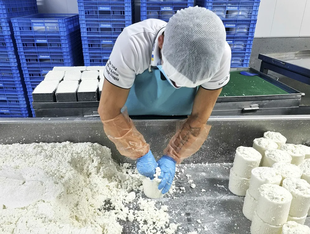 Quesería Montesdeoca  3