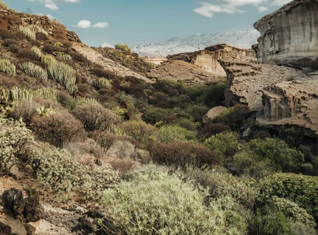 Reserva Ambiental San Blas 3