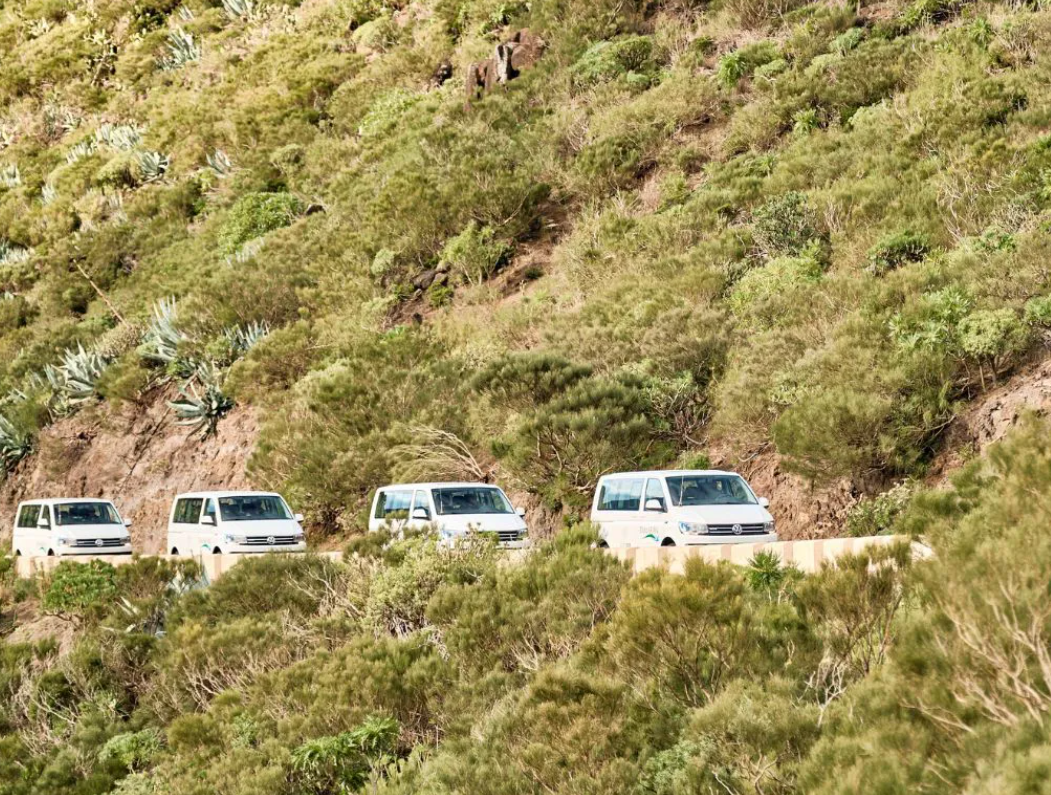 La Laguna + Anaga VIP 3