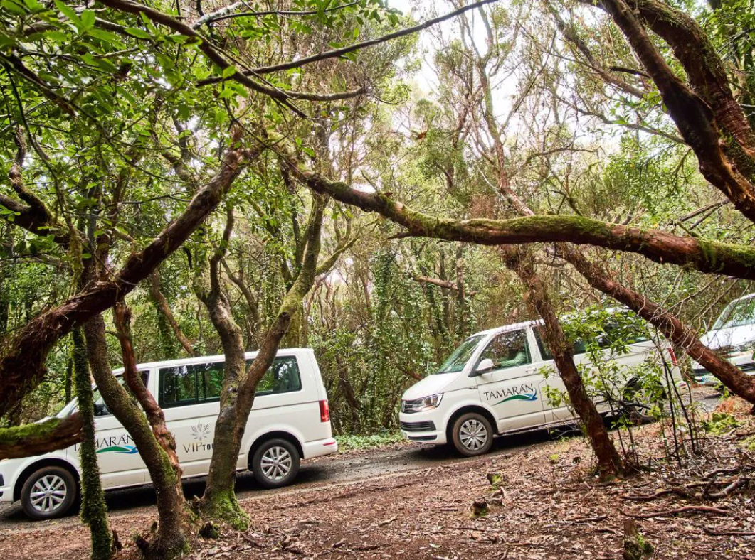 La Laguna + Anaga VIP 4